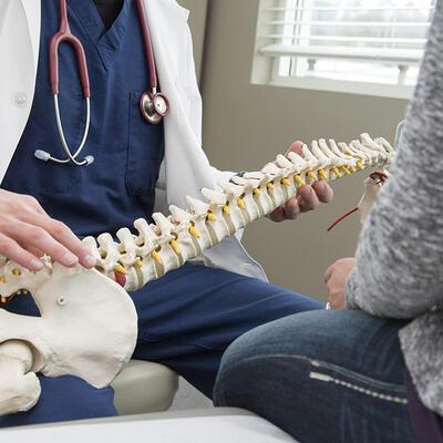 Insertion professionnelle en ostéopathie : les bons résultats de nos diplômés